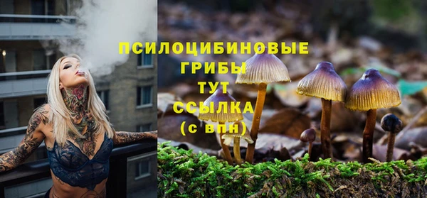 кристаллы Козловка