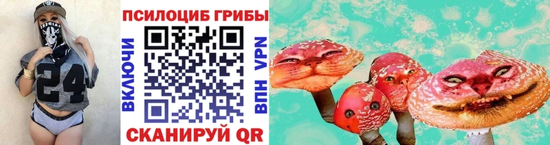 Купить где  Майский  Галлюциногенные грибы Psilocybe 